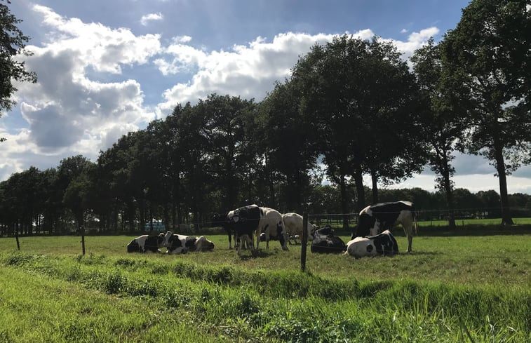 Natuurhuisje in Frederiksoord