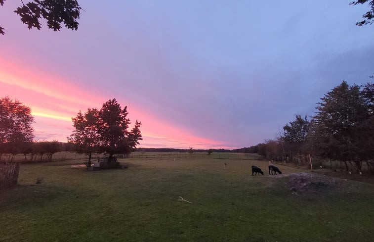 Natuurhuisje in Maartensdijk