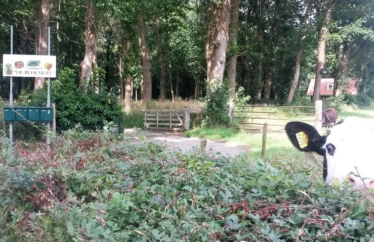 Natuurhuisje in Midlaren