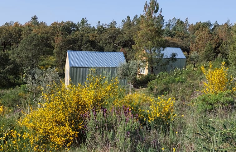 Natuurhuisje in Salgueiro do Campo