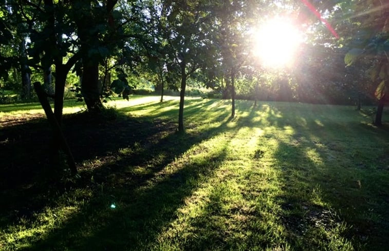 Natuurhuisje in Driewegen