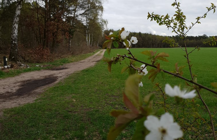 Natuurhuisje in Bergeijk