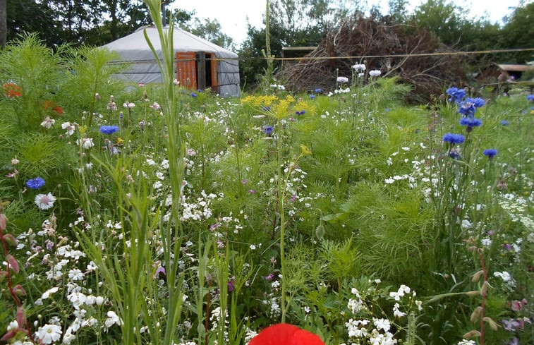 Natuurhuisje in Zalk