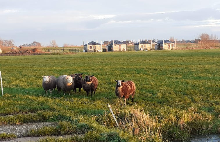 Natuurhuisje in Woerdense Verlaat