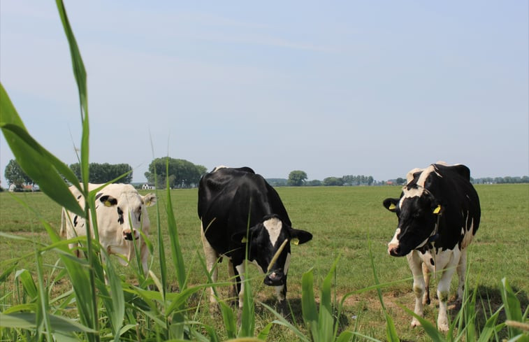 Natuurhuisje in Genderen