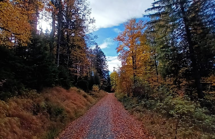 Natuurhuisje in Neureichenau