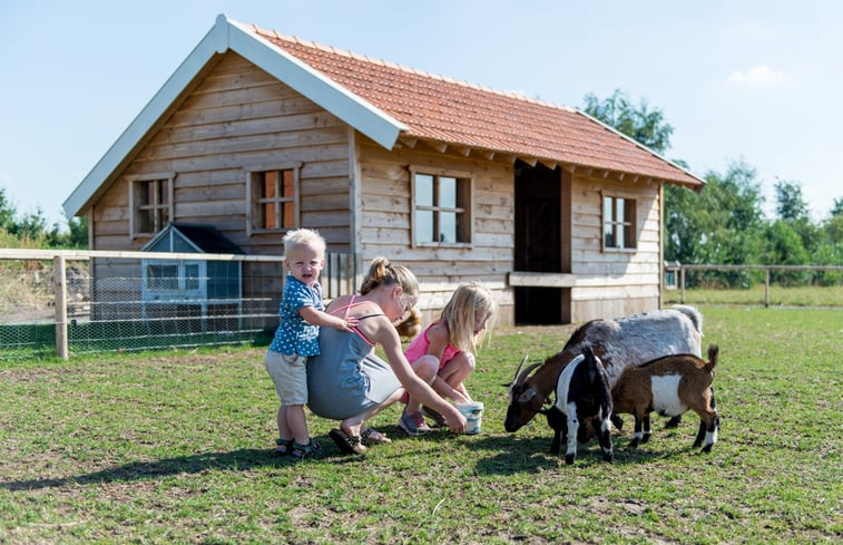 Natuurhuisje in Evertsoord