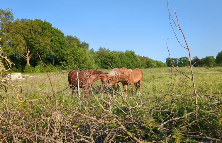 Natuurhuisje in Heerenveen