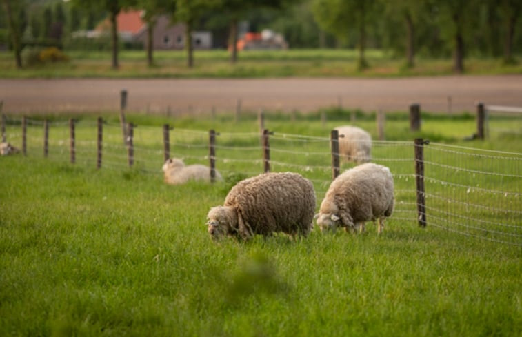 Natuurhuisje in Groenlo