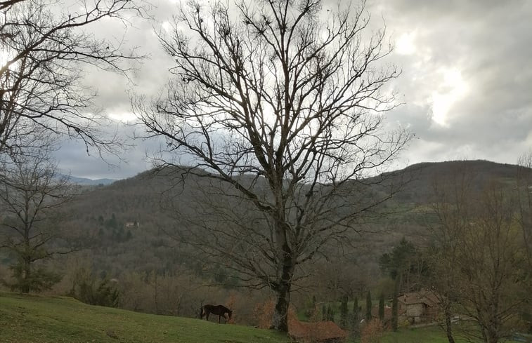 Natuurhuisje in Poppi