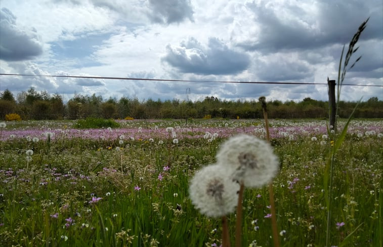 Natuurhuisje in Sint-Oedenrode