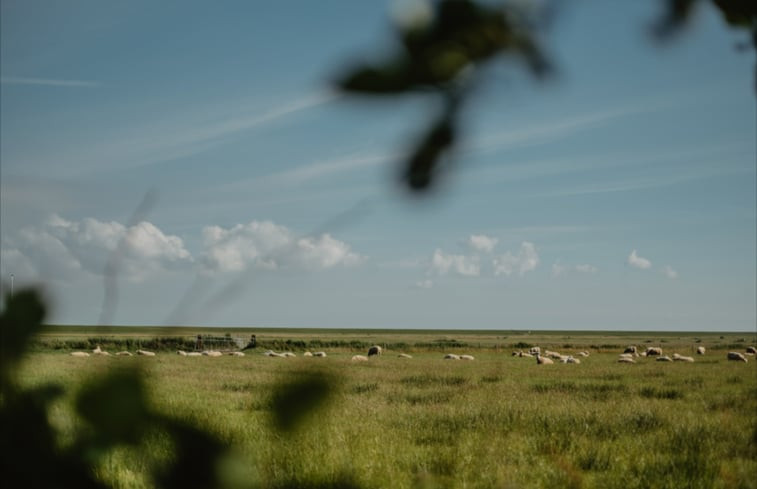 Natuurhuisje in Oosterend