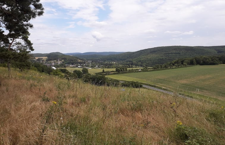 Natuurhuisje in Treignes