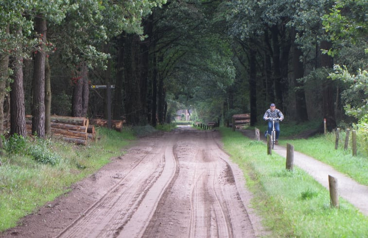 Natuurhuisje in Vledderveen