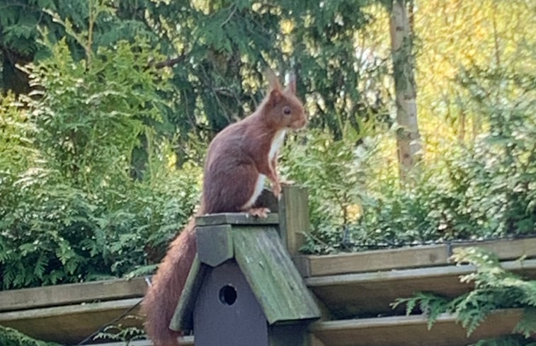 Natuurhuisje in Hattemerbroek