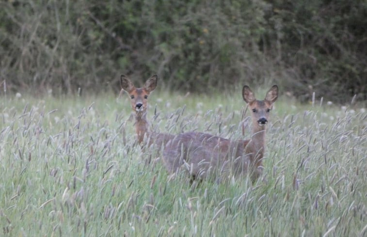 Natuurhuisje in Préaux