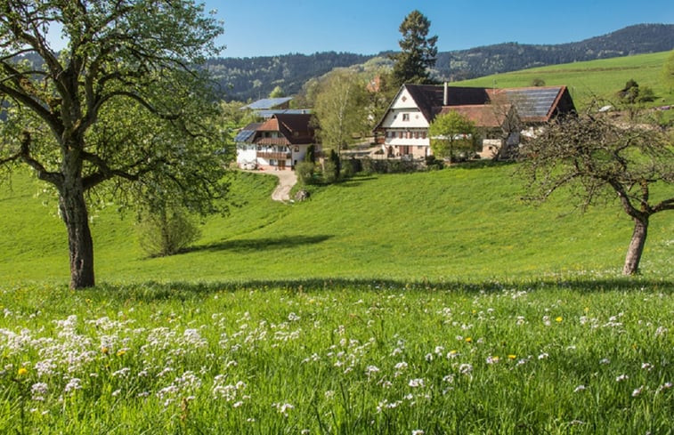 Natuurhuisje in Oberharmersbach