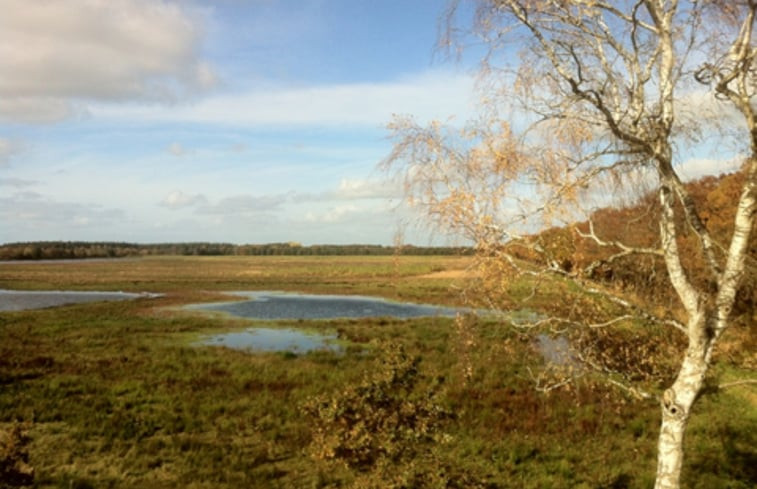 Natuurhuisje in Veenhuizen