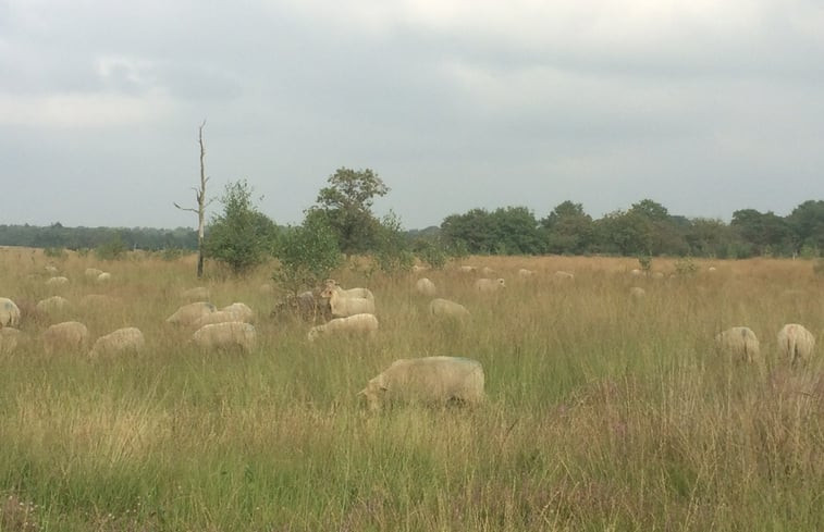 Natuurhuisje in Huijbergen