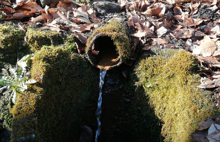 Natuurhuisje in Bad Stuer