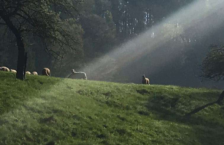 Natuurhuisje in Ravensburg