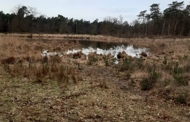 Natuurhuisje in Lomm