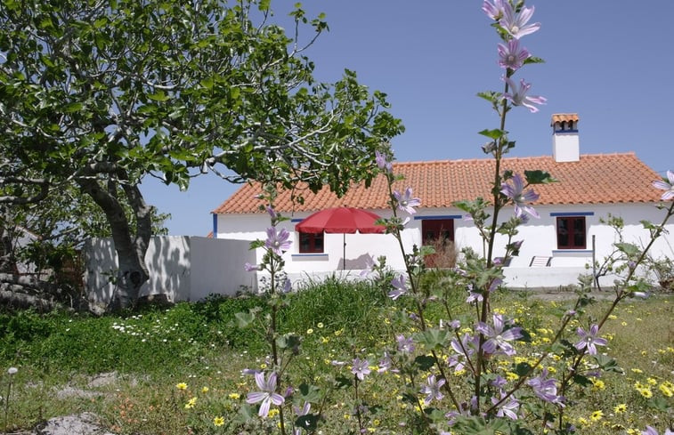 Natuurhuisje in Aljezur