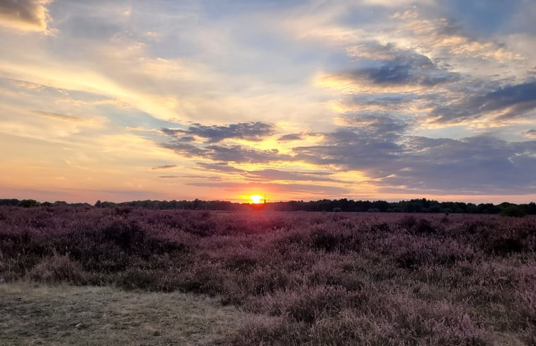 Natuurhuisje in Oude Willem