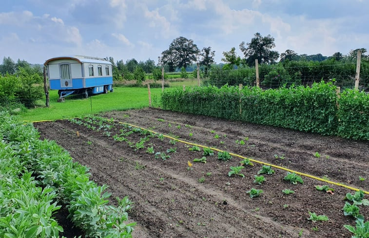 Natuurhuisje in Empe