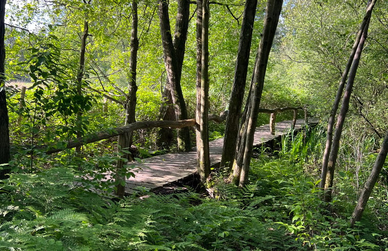 Natuurhuisje in Strijbeek