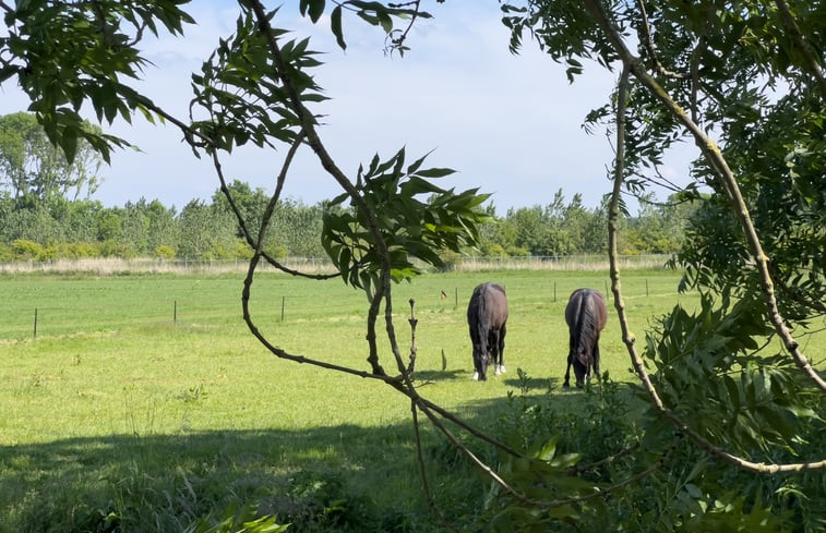 Natuurhuisje in schoorldam