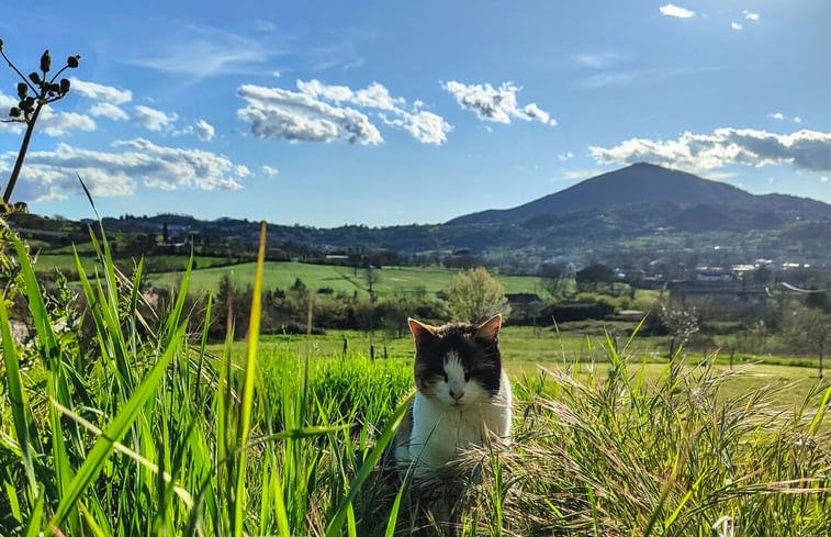 Natuurhuisje in caiazzo