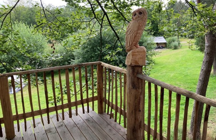 Natuurhuisje in Westerbork