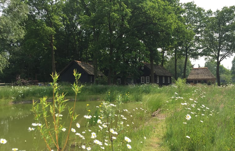 Natuurhuisje in Eersel