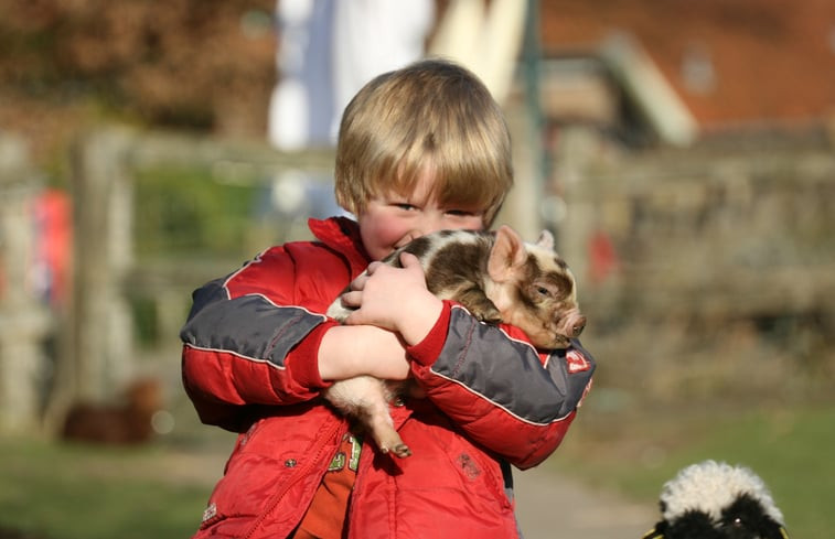 Natuurhuisje in Otterlo