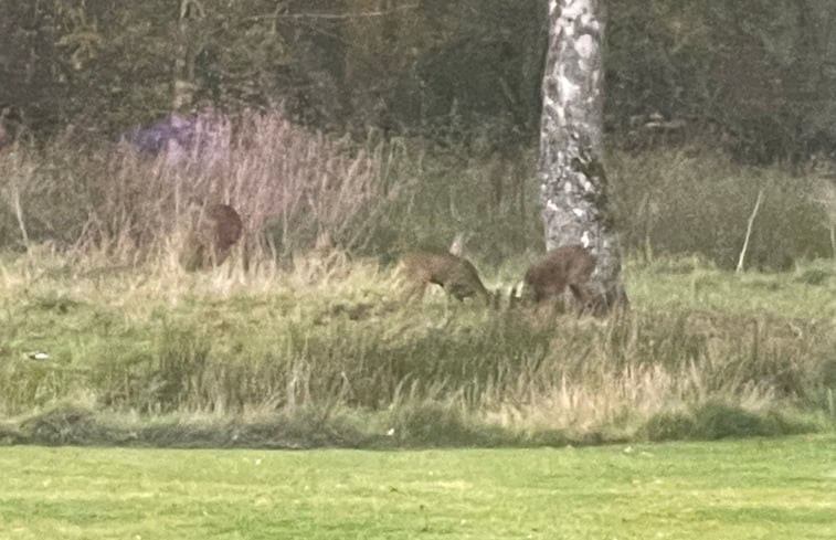 Natuurhuisje in Lommel