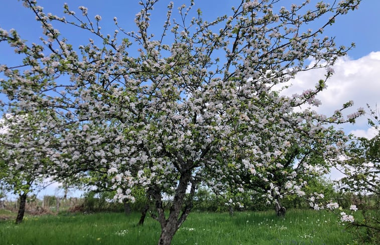 Natuurhuisje in Poirot-Dessus (Ouroux-en-Morvan)