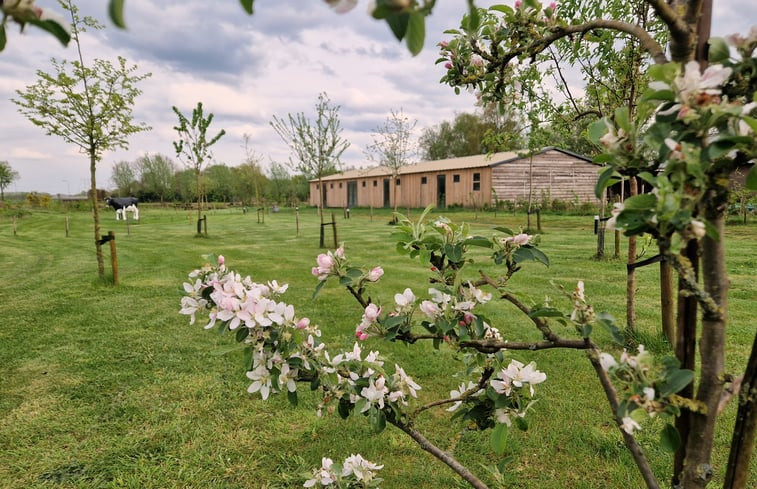 Natuurhuisje in Moergestel