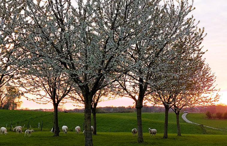 Natuurhuisje in Schin op Geul