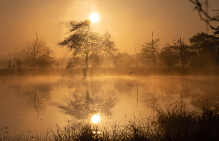 Natuurhuisje in Maarsbergen