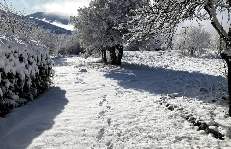 Natuurhuisje in Castellane