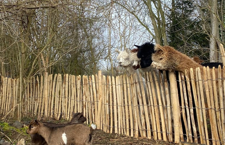 Natuurhuisje in Sint-Agatha-Rode