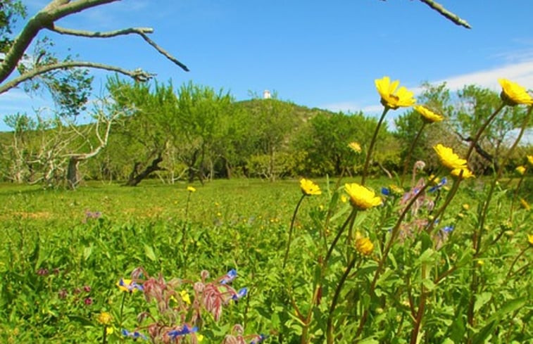 Natuurhuisje in Moncarapacho