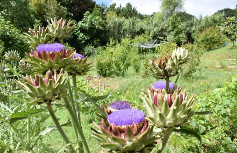 Natuurhuisje in Alfeizerão