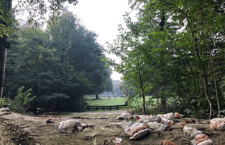 Natuurhuisje in Berg en Dal