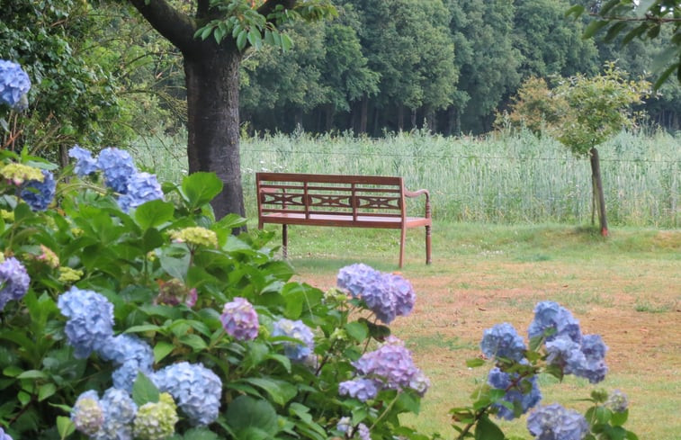 Natuurhuisje in Warnsveld