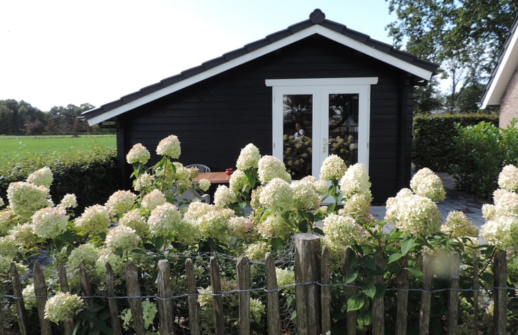 Natuurhuisje in Epe