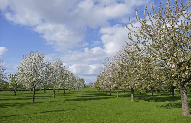 Natuurhuisje in Mesch-Eisden