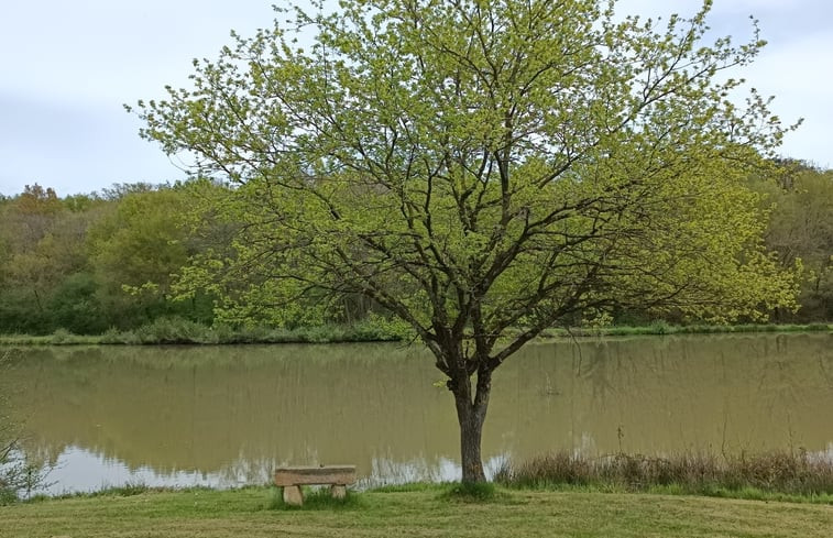 Natuurhuisje in Toulon sur allier