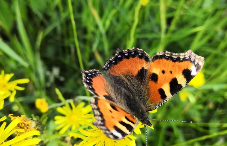 Natuurhuisje in Küchelscheid